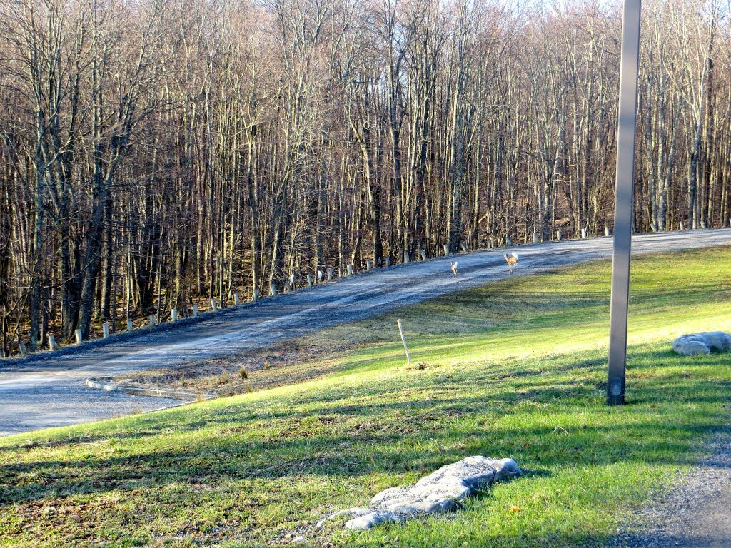 Canaan Valley Resort State Park Davis Exterior photo